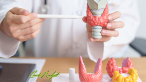 Read more about the article كيف تخسر الوزن في رمضان إذا كنت تعاني من خمول الغدة الدرقية